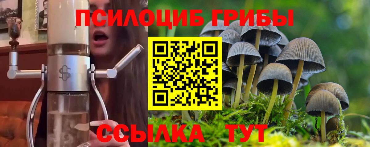 Псилоцибиновые грибы MAGIC MUSHROOMS Ачинск